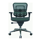 Eurotech Seating Ergohuman Mesh Managers Chair