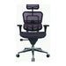 Eurotech Seating Ergohuman Mesh Managers Chair