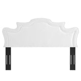 Evangeline Performance Velvet King/California King Headboard
