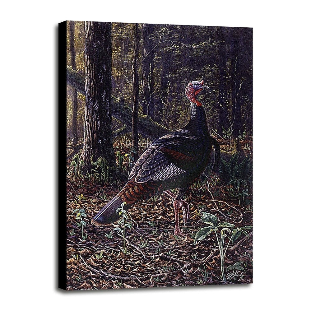 Ever Alert - Wild Turkey-WILGOE16385 Framed Print 36.75"x23.25" by Wilhelm Goebel