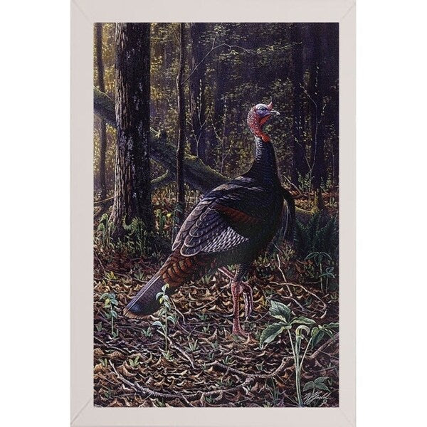 Ever Alert - Wild Turkey-WILGOE16385 Framed Print 36.75"x23.25" by Wilhelm Goebel