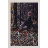 Ever Alert - Wild Turkey-WILGOE16385 Framed Print 36.75"x23.25" by Wilhelm Goebel