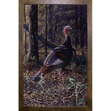 Ever Alert - Wild Turkey-WILGOE16385 Framed Print 36.75"x23.25" by Wilhelm Goebel