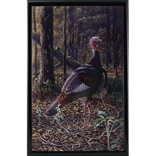 Ever Alert - Wild Turkey-WILGOE16385 Framed Print 36.75"x23.25" by Wilhelm Goebel