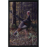 Ever Alert - Wild Turkey-WILGOE16385 Framed Print 36.75"x23.25" by Wilhelm Goebel