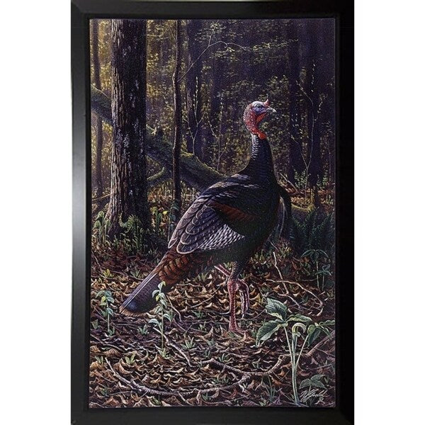 Ever Alert - Wild Turkey-WILGOE16385 Framed Print 36.75"x23.25" by Wilhelm Goebel