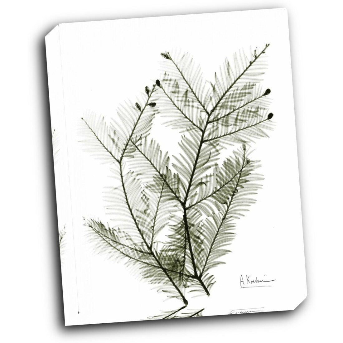 Evergreen in Green 16x20 Gallery Wrapped Stretched Canvas