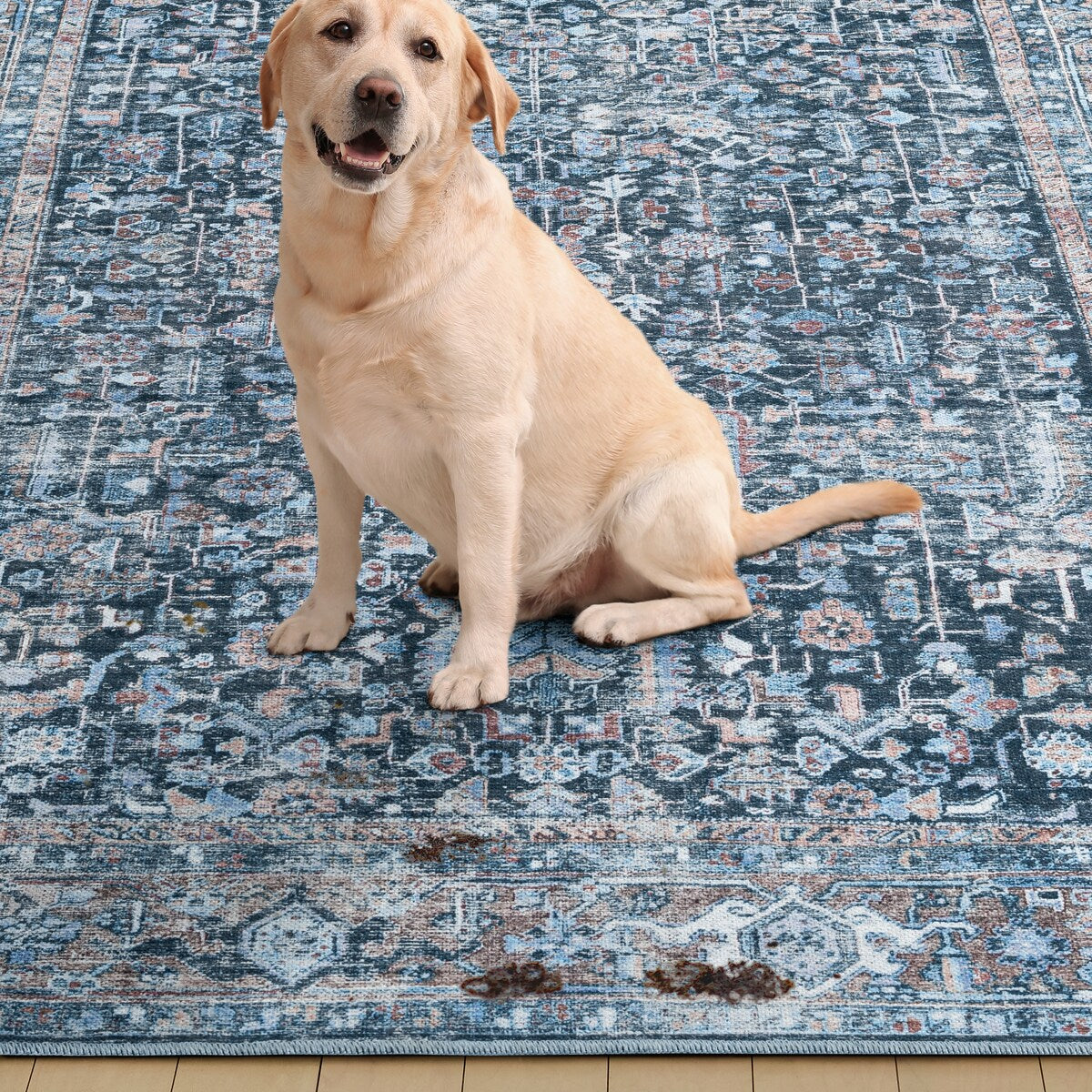 Everwash Callaghan Edith Distressed Vintage Machine Washable Area Rug