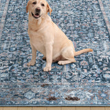 Everwash Callaghan Edith Distressed Vintage Machine Washable Area Rug