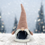 Exhart Christmas Gnome with Sparkling LED Body, with Timer, 20.5"