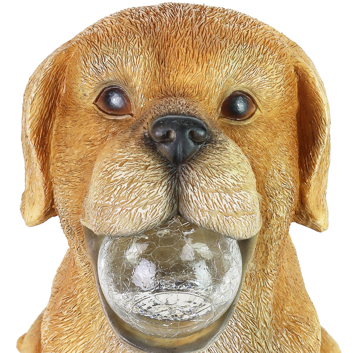 Exhart Solar Dog with LED Ball in Mouth Garden Statuary, 12 Inch tall