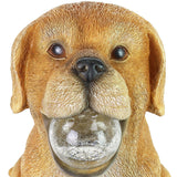 Exhart Solar Dog with LED Ball in Mouth Garden Statuary, 12 Inch tall