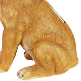 Exhart Solar Dog with LED Ball in Mouth Garden Statuary, 12 Inch tall