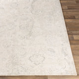 Expresse Traditional Wool Hand-Loomed Area Rug