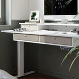 FEZIBO/Home Office Furniture/Wood/Standing Desk With 4 Drawers/Desks
