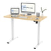 FlexiSpot Electric Standing Desk Whole-Piece Desk Board Computer Desk Height Adjustable Desk for Home Office