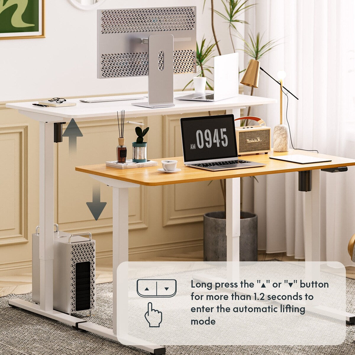 FlexiSpot Electric Standing Desk Whole-Piece Desk Board Computer Desk Height Adjustable Desk for Home Office