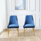 Fabric Dining Chairs Set of 2