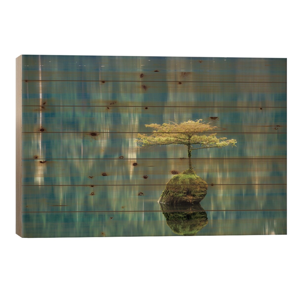 Fairy Lake Bonsai Print On Wood by Tim Oldford - Multi-Color