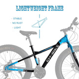 Fat Tire Bike For Mountain/snow/road, 26-Inch Wheels, 21-Speed, Steel Frame