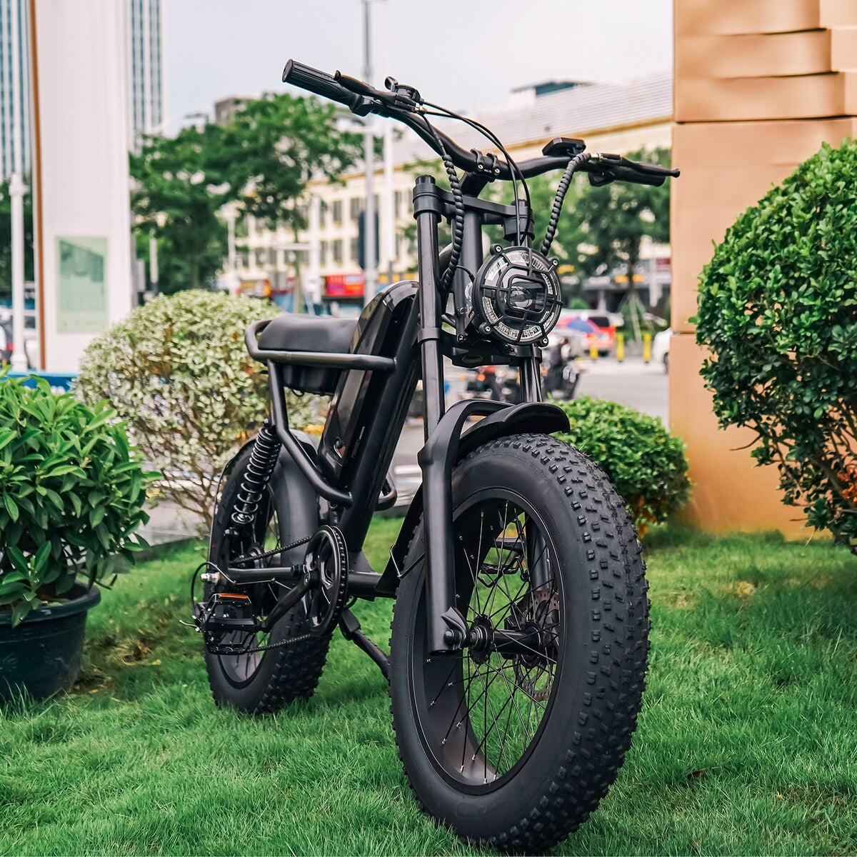 Fat Tire Electric Bike with Removable Battery