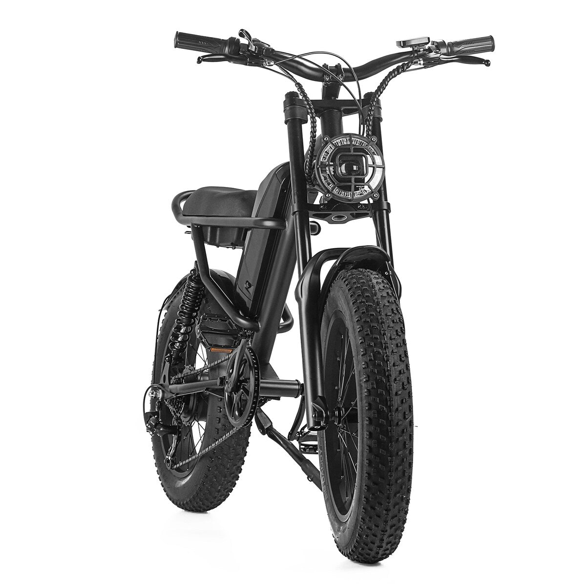 Fat Tire Electric Bike with Removable Battery