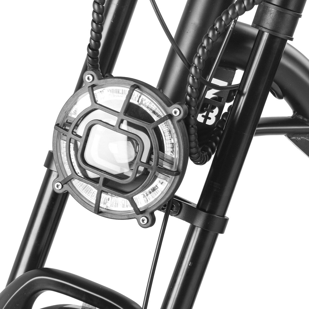 Fat Tire Electric Bike with Removable Battery
