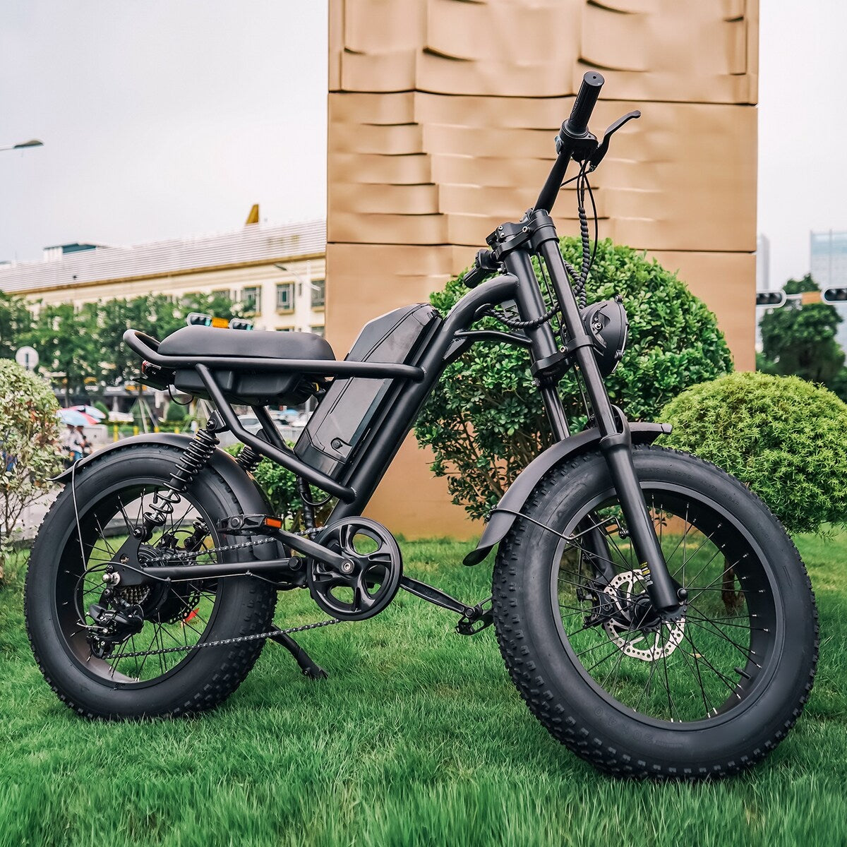 Fat Tire Electric Bike with Removable Battery