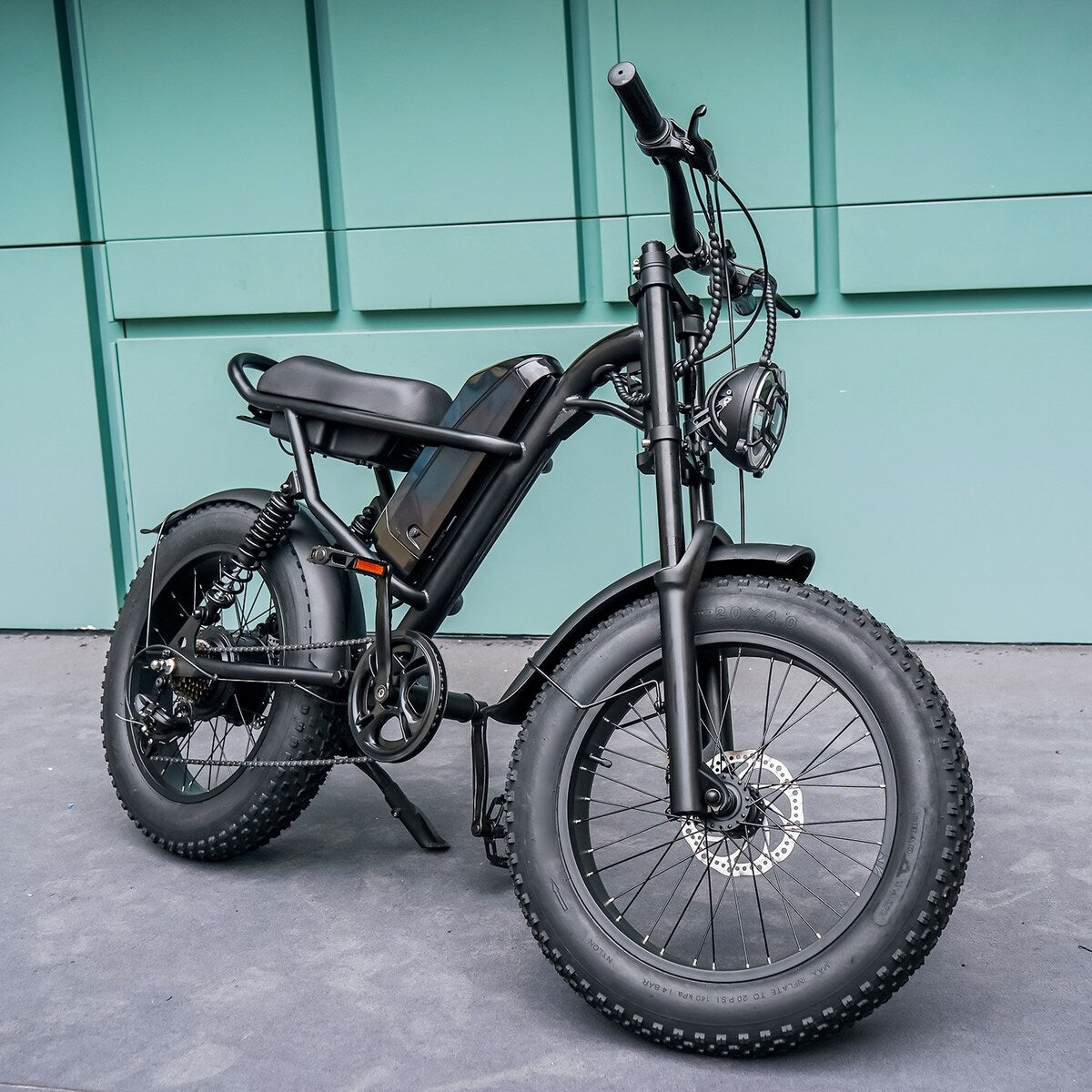 Fat Tire Electric Bike with Removable Battery