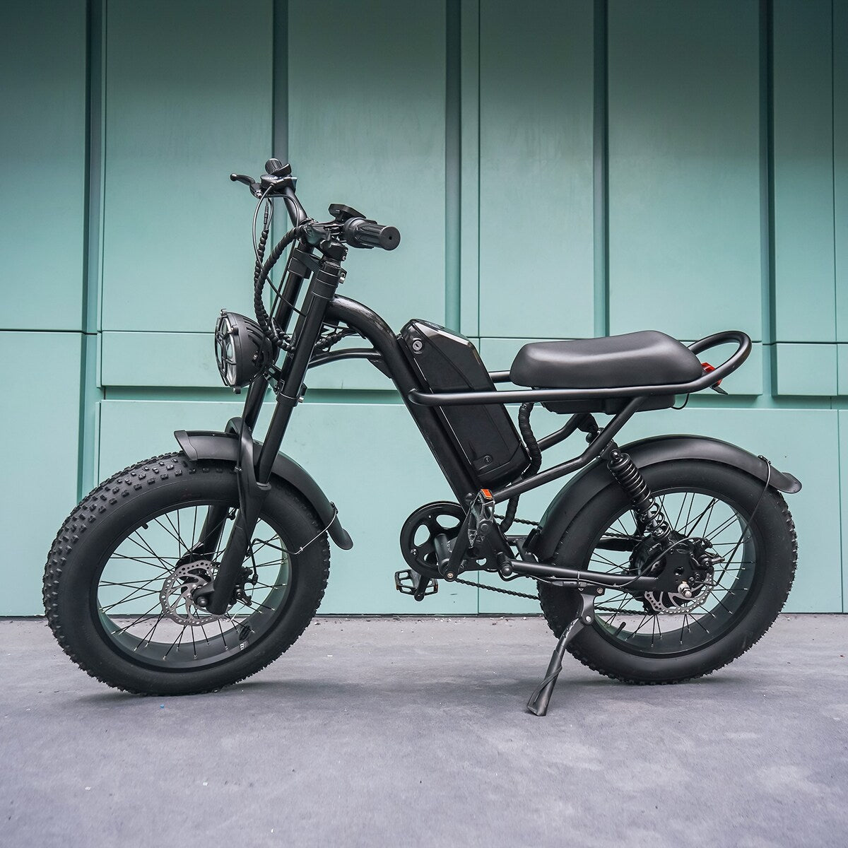 Fat Tire Electric Bike with Removable Battery