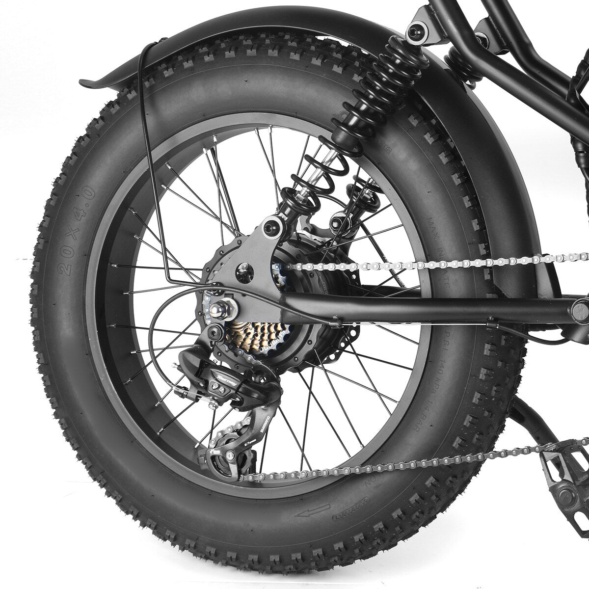 Fat Tire Electric Bike with Removable Battery