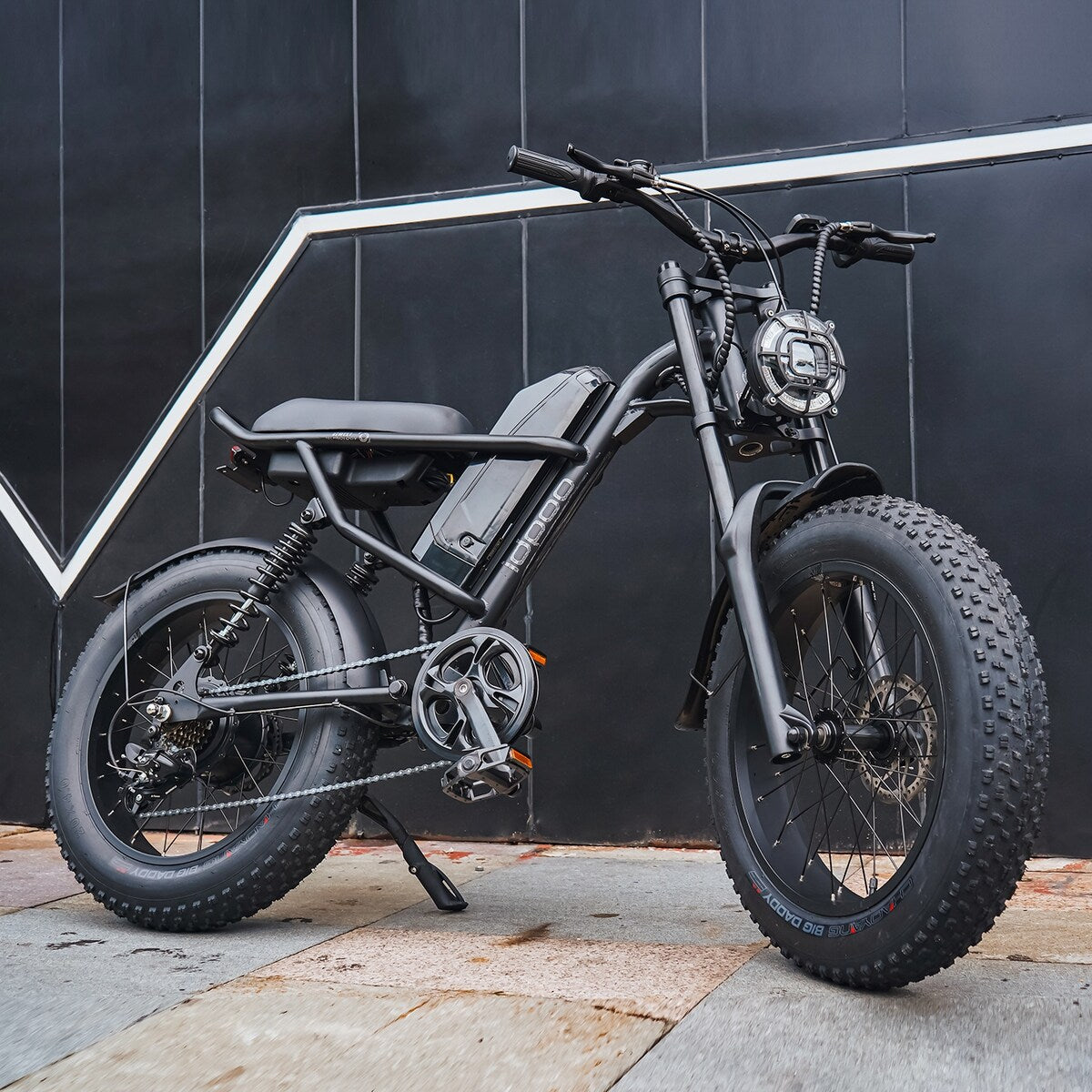 Fat Tire Electric Bike with Removable Battery