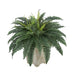 Faux Fern in Short Wood Washed Planter