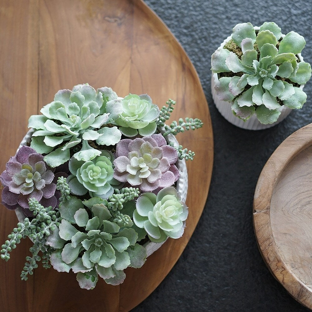 Faux Mixed Succulent Arrangement Plant in Ceramic Round Vase