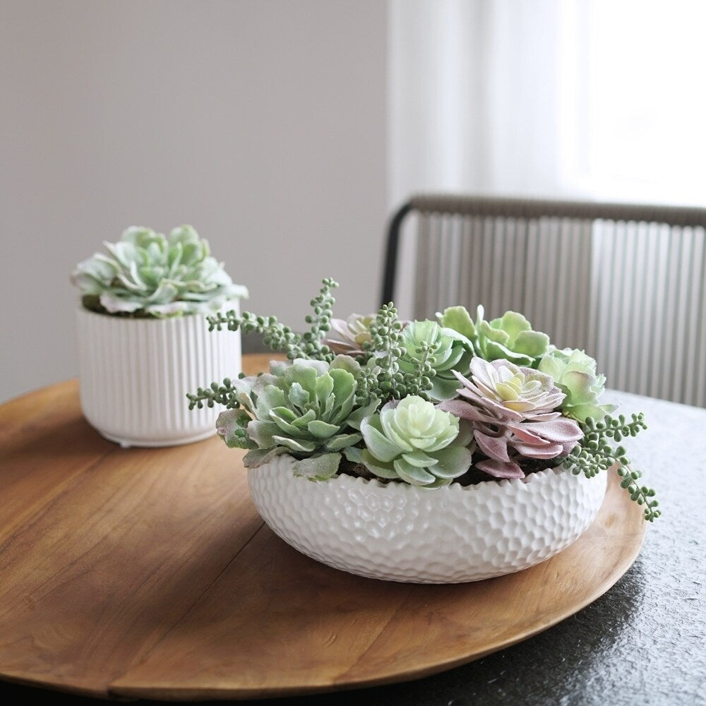 Faux Mixed Succulent Arrangement Plant in Ceramic Round Vase