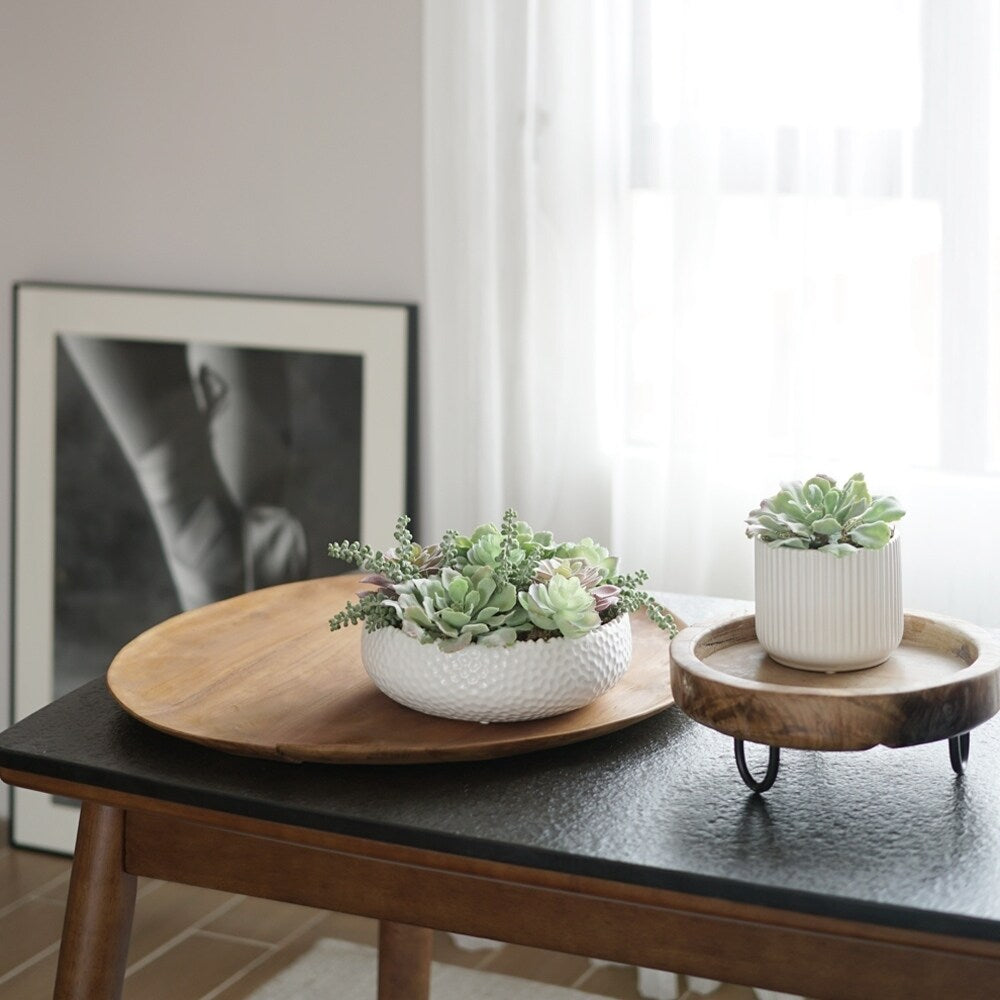 Faux Mixed Succulent Arrangement Plant in Ceramic Round Vase