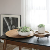 Faux Mixed Succulent Arrangement Plant in Ceramic Round Vase