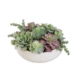 Faux Mixed Succulent Arrangement Plant in Ceramic Round Vase