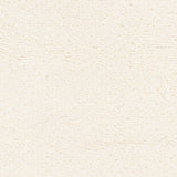 Fazeley Hand Knotted Wool Blend Casual Area Rug