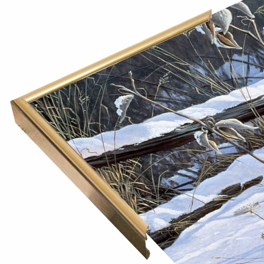 Fenceline Strut -WILGOE1132 Framed Print 24"x43.25" by Wilhelm Goebel