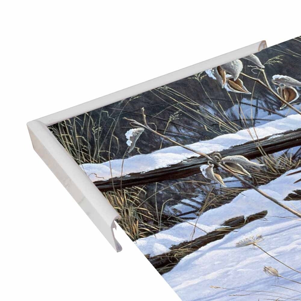 Fenceline Strut -WILGOE1132 Framed Print 24"x43.25" by Wilhelm Goebel
