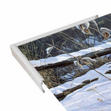 Fenceline Strut -WILGOE1132 Framed Print 24"x43.25" by Wilhelm Goebel