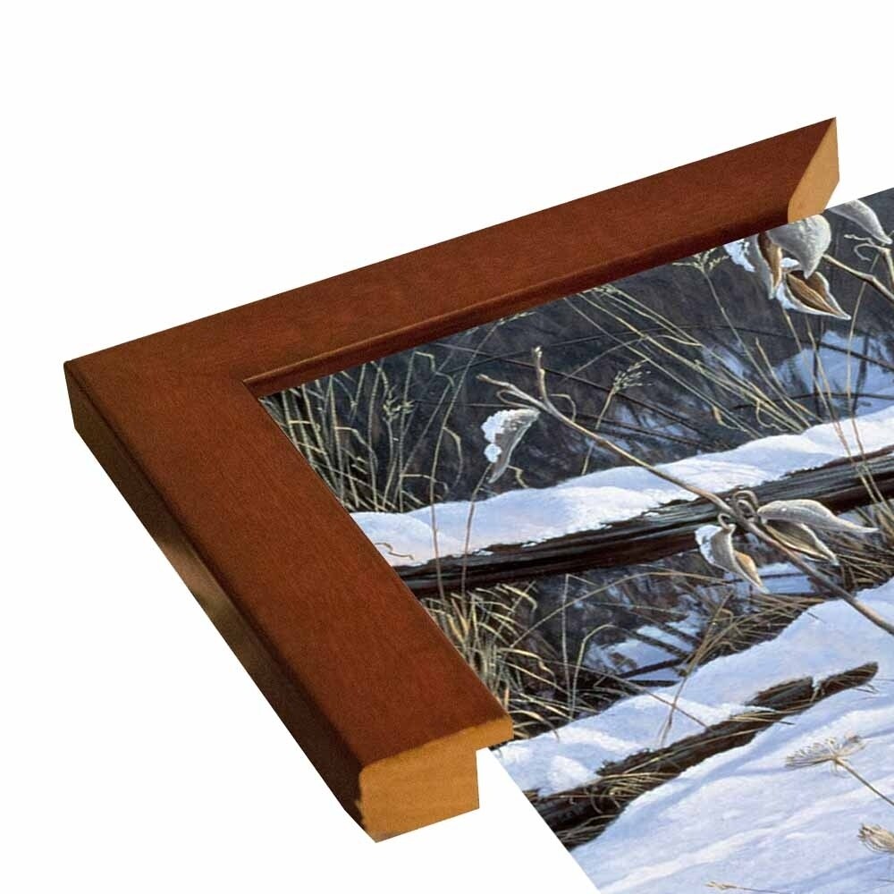 Fenceline Strut -WILGOE1132 Framed Print 24"x43.25" by Wilhelm Goebel
