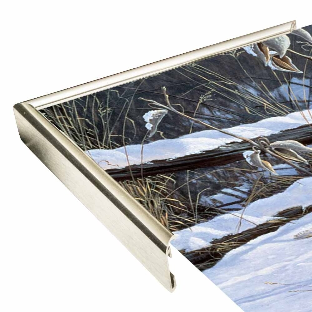 Fenceline Strut -WILGOE1132 Framed Print 24"x43.25" by Wilhelm Goebel
