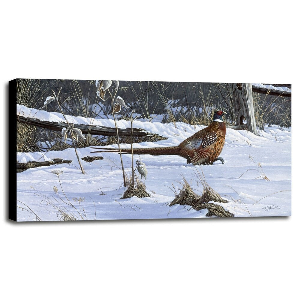 Fenceline Strut -WILGOE1132 Framed Print 24"x43.25" by Wilhelm Goebel