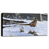 Fenceline Strut -WILGOE1132 Framed Print 24"x43.25" by Wilhelm Goebel