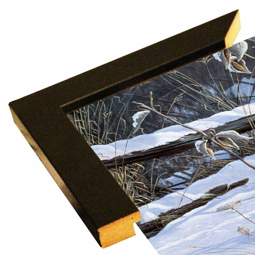 Fenceline Strut -WILGOE1132 Framed Print 24"x43.25" by Wilhelm Goebel
