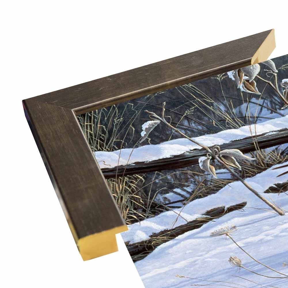 Fenceline Strut -WILGOE1132 Framed Print 24"x43.25" by Wilhelm Goebel