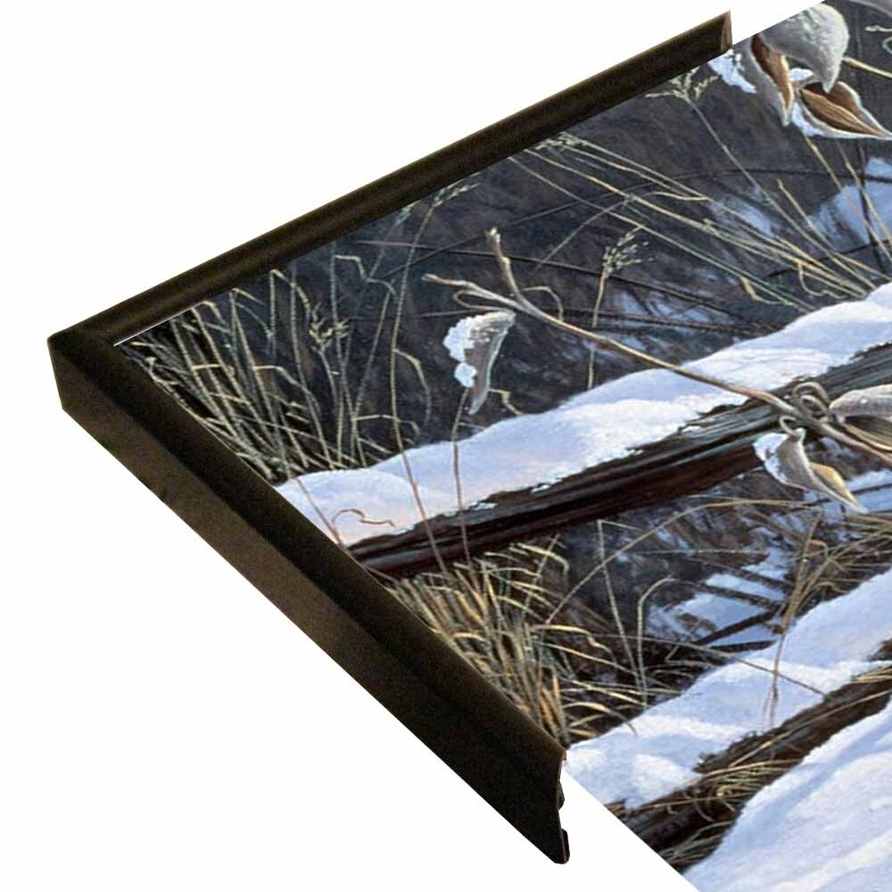Fenceline Strut -WILGOE1132 Framed Print 24"x43.25" by Wilhelm Goebel