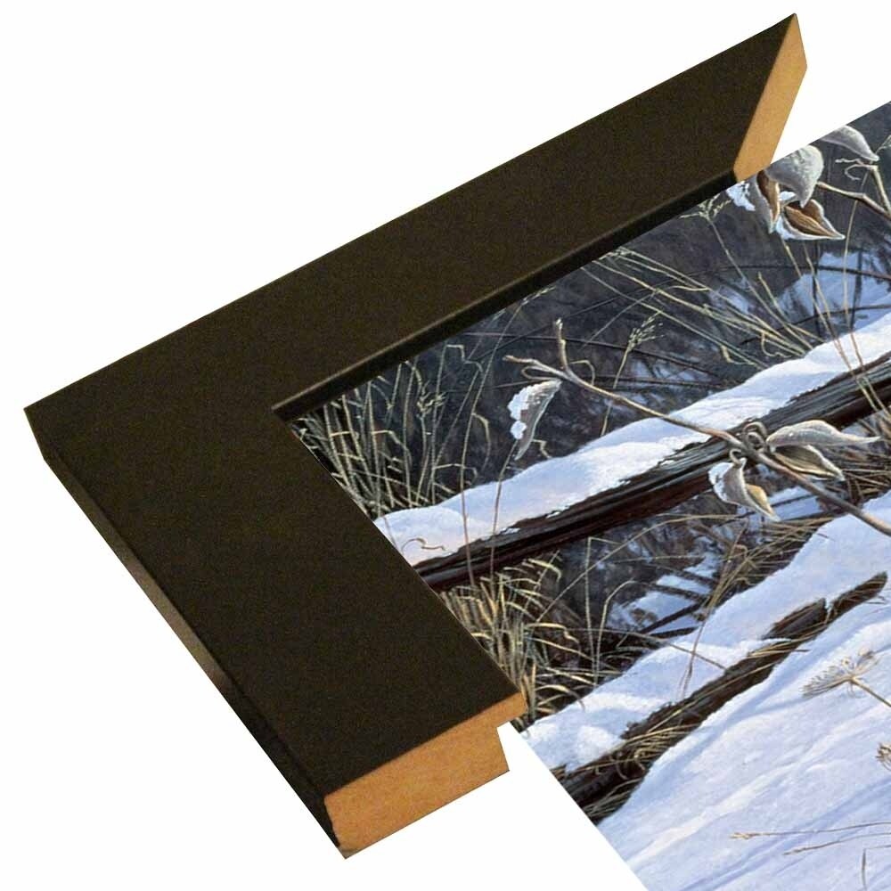 Fenceline Strut -WILGOE1132 Framed Print 24"x43.25" by Wilhelm Goebel